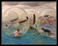 Nina Ludwig, Zorbing